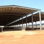 Судан: проект молочной фермы на 1200 коров